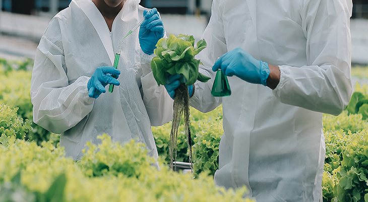 Anche gli alimenti ottenuti con nuove tecniche genomiche devono essere controllati ed etichettati!