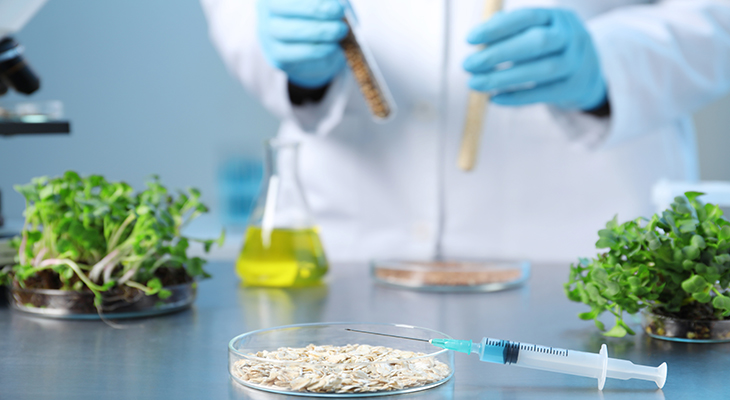 L’accordo per la deregulation dei nuovi OGM va bocciato nelle aule